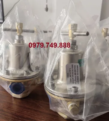 Điều áp Rego BR-1788A  (5 - 55)psig